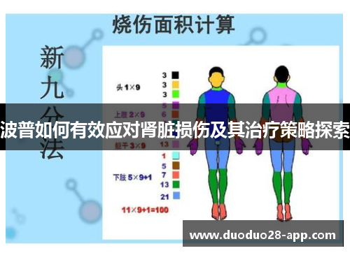 波普如何有效应对肾脏损伤及其治疗策略探索