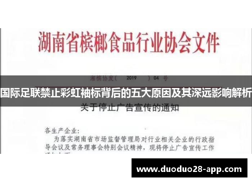 国际足联禁止彩虹袖标背后的五大原因及其深远影响解析